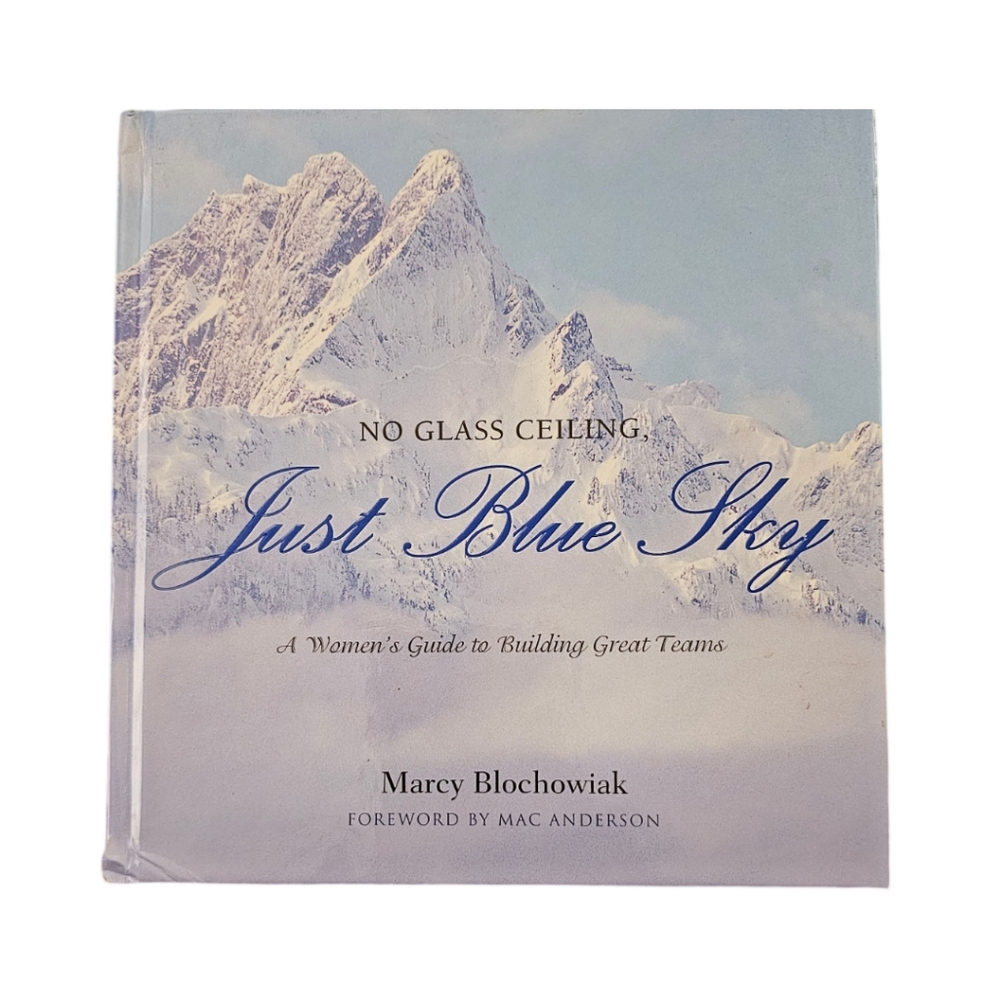 No Glass Ceiling Just Blue Sky book by Author Marcy Blochowiak